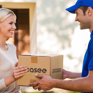 Γρήγορη παράδοση