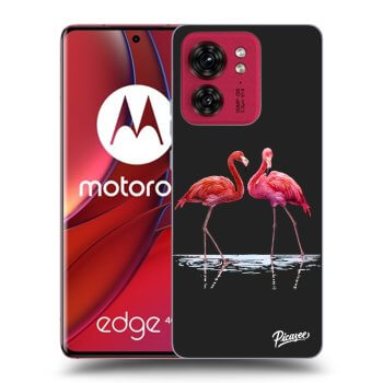 Θήκη για Motorola Edge 40 - Flamingos couple