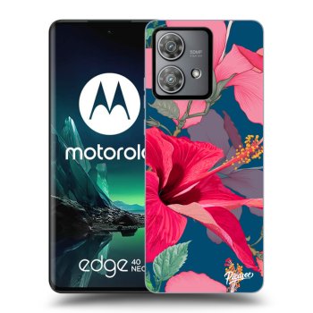 Θήκη για Motorola Edge 40 Neo - Hibiscus
