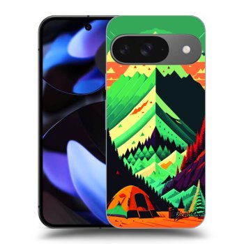 Θήκη για Google Pixel 9 - Whistler