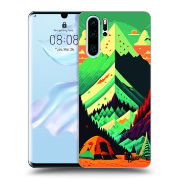 Θήκη για Huawei P30 Pro - Whistler