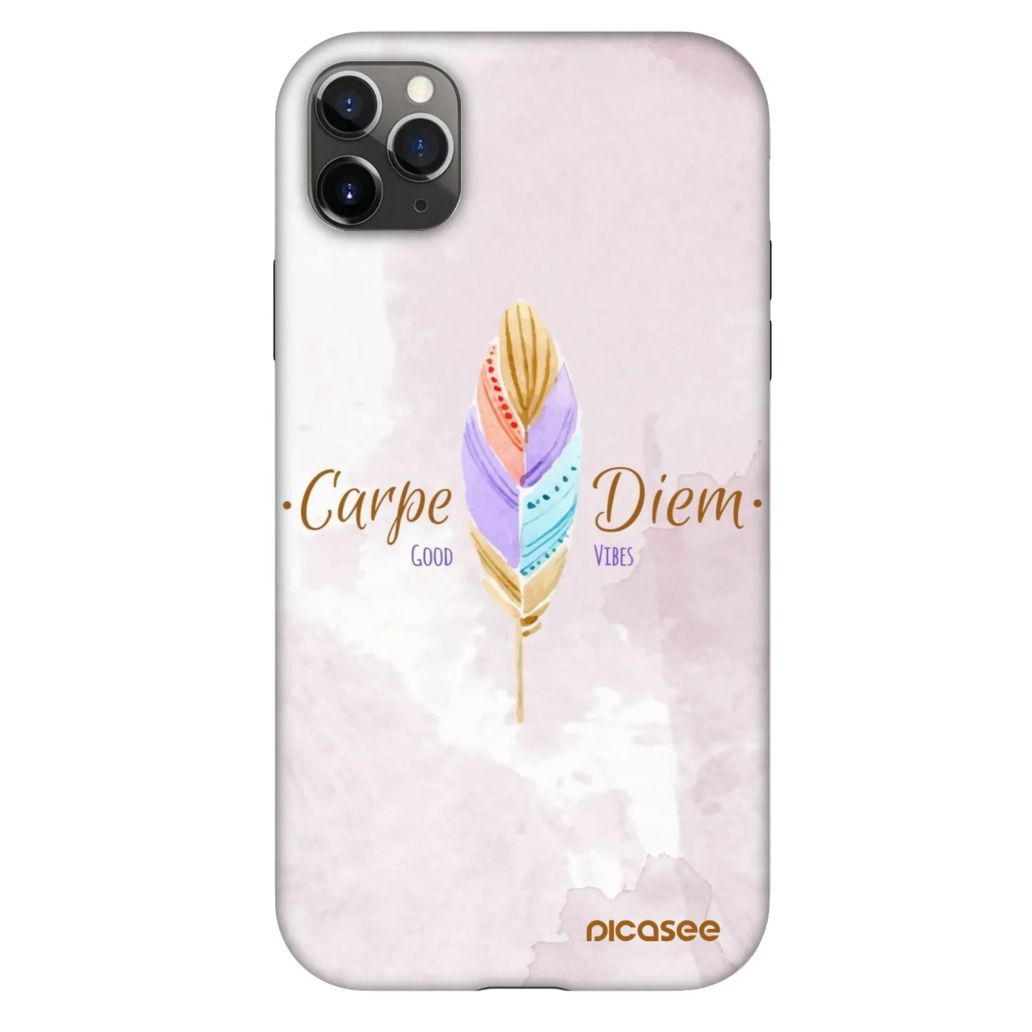 Picasee Fashion Case για Apple iPhone 11 Pro Max - Carpe Diem