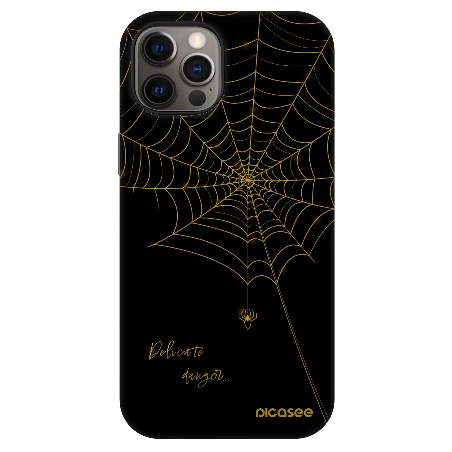 Picasee Fashion Case MagSafe για Apple iPhone 12 Pro - Delicate danger