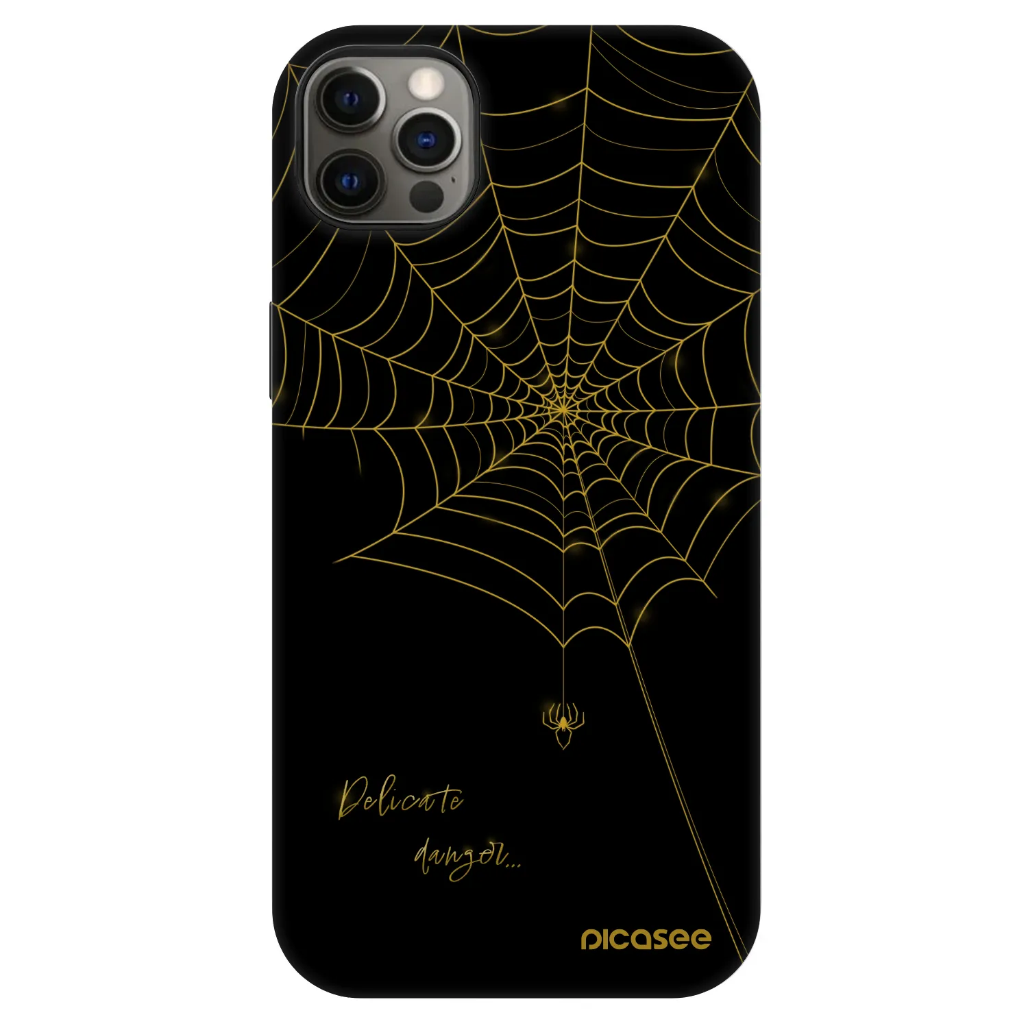 Picasee Fashion Case MagSafe για Apple iPhone 12 Pro Max - Delicate danger