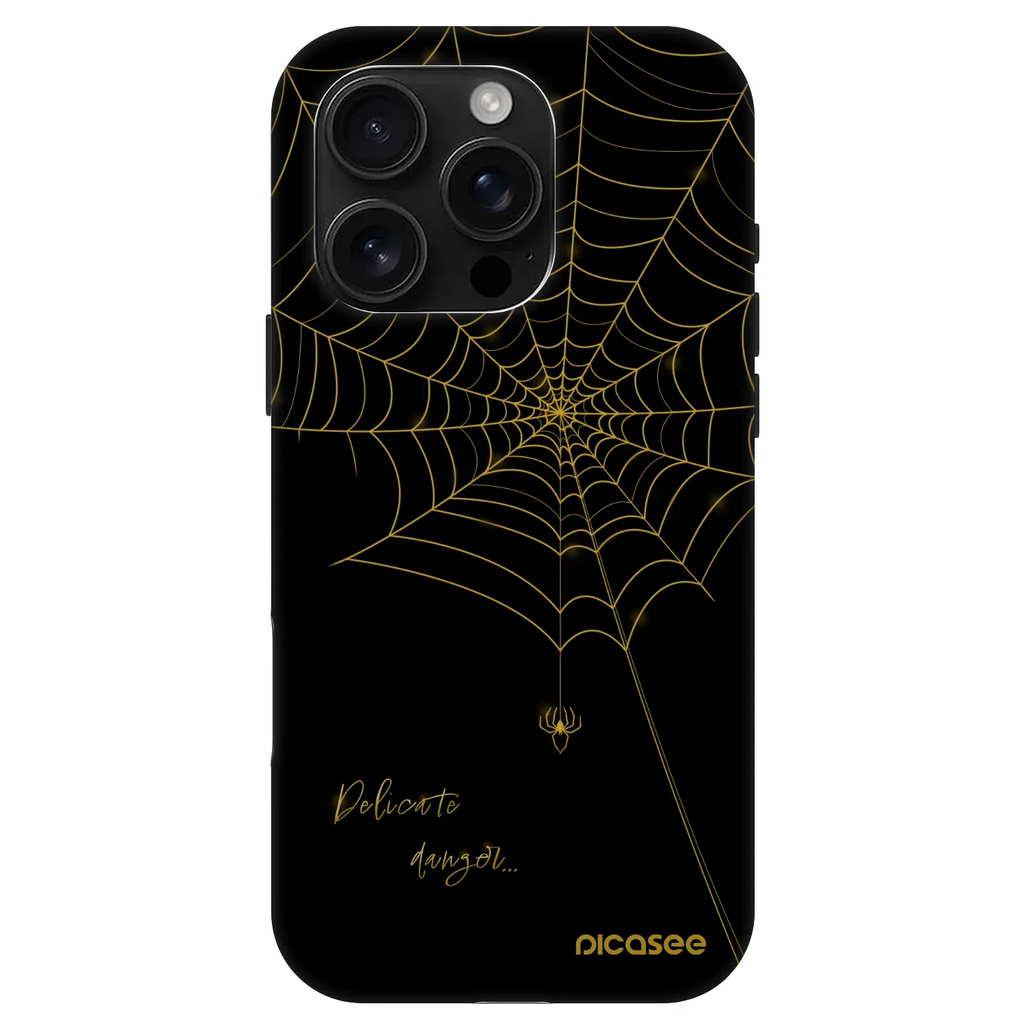 Picasee Fashion Case MagSafe για Apple iPhone 16 Pro - Delicate danger