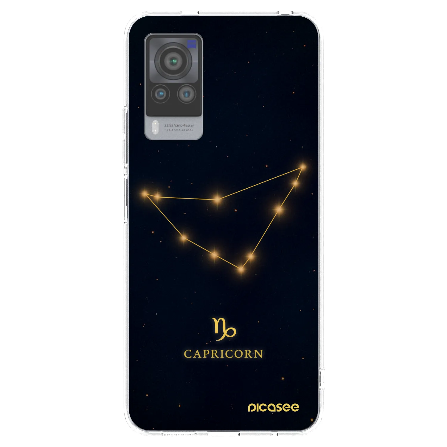 Picasee διαφανής θήκη σιλικόνης Vivo X60 Pro 5G - CAPRICORN
