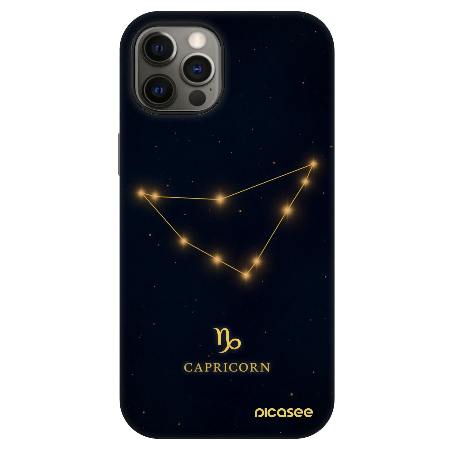 Picasee Fashion Case MagSafe για Apple iPhone 12 - CAPRICORN