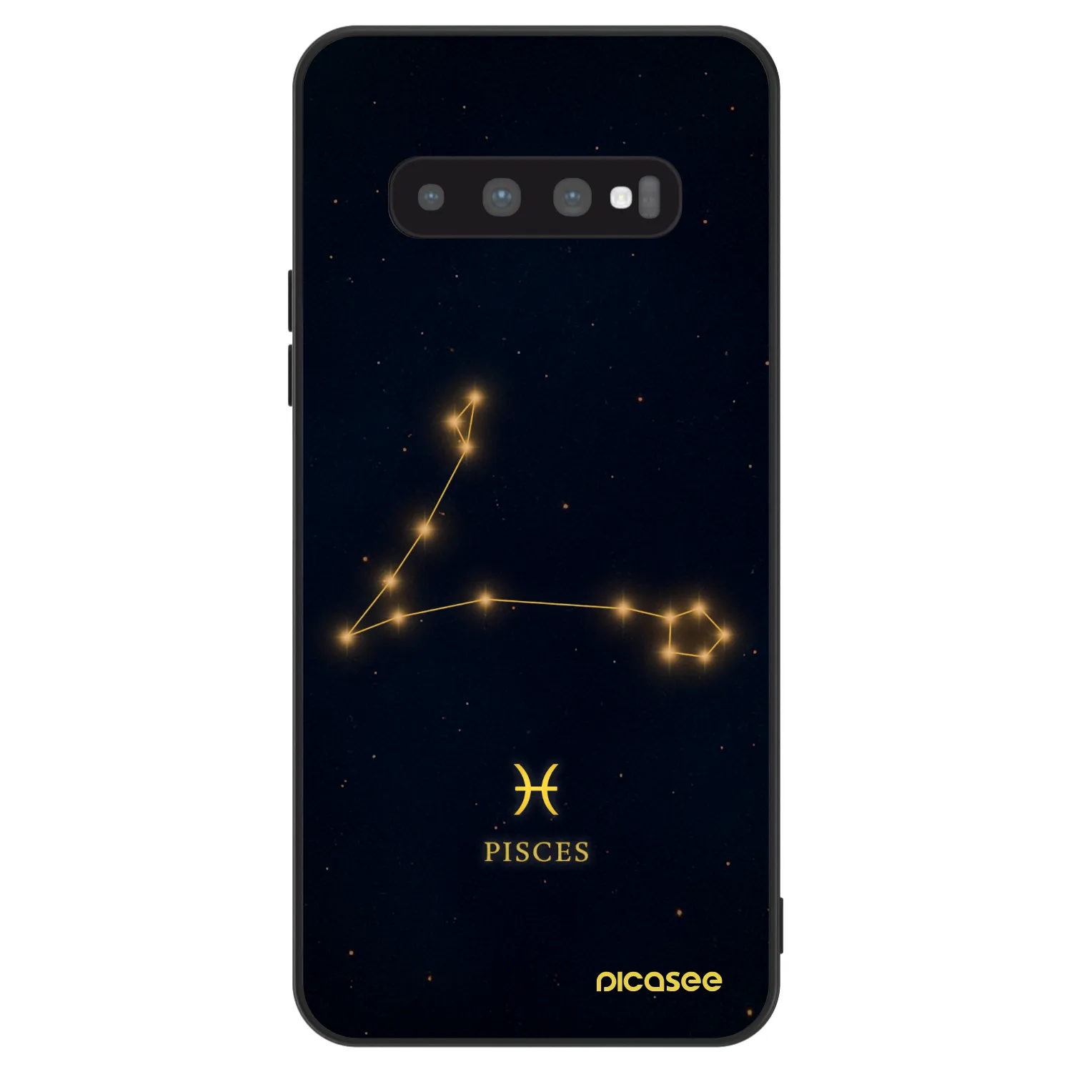 Picasee ULTIMATE CASE για Samsung Galaxy S10 Plus G975 - PISCES
