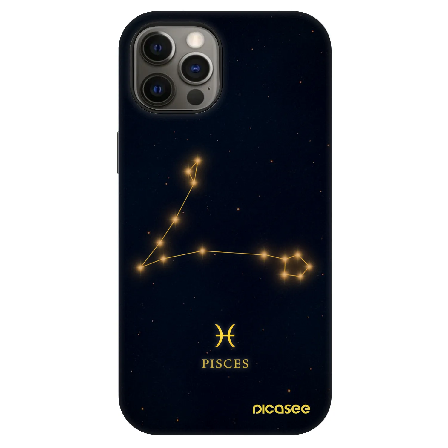 Picasee Fashion Case MagSafe για Apple iPhone 12 - PISCES