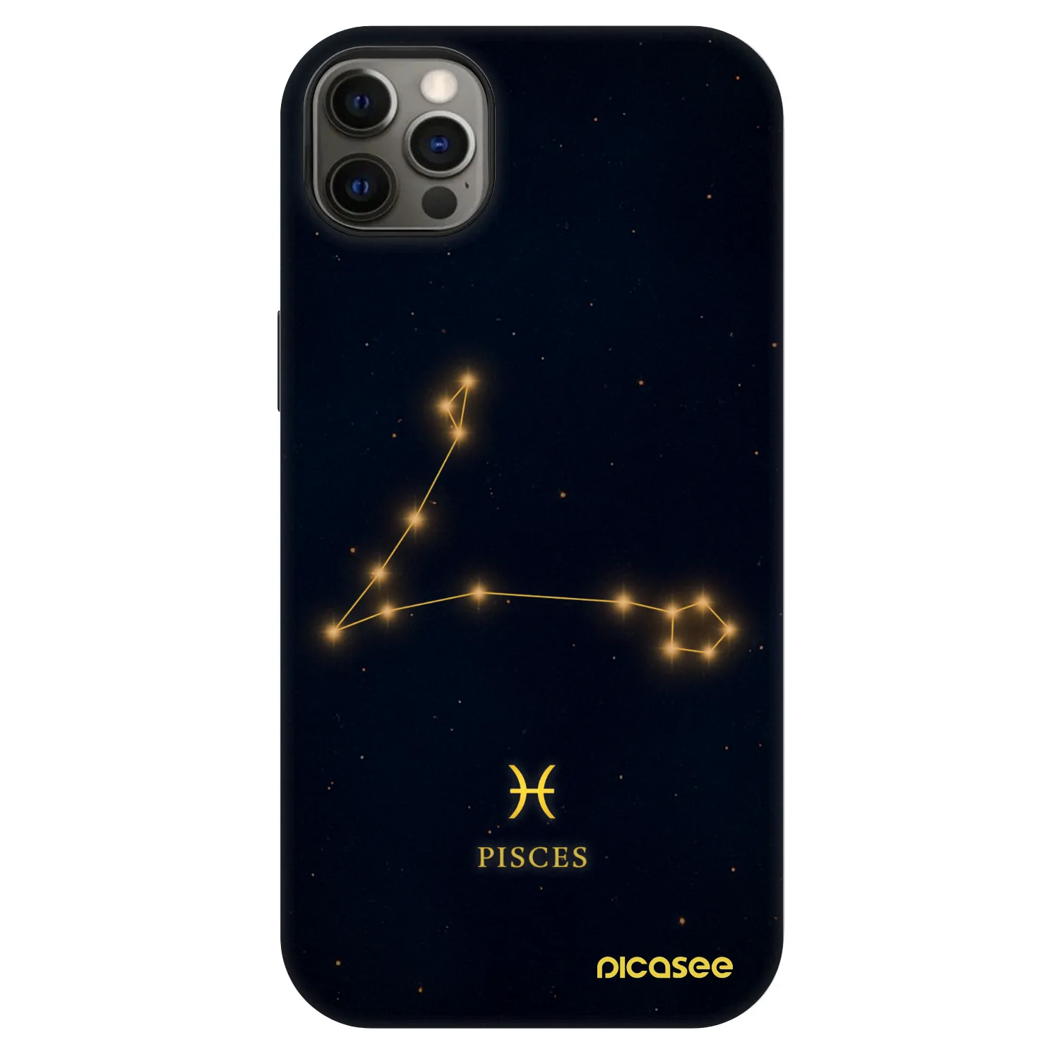 Picasee Fashion Case MagSafe για Apple iPhone 12 Pro Max - PISCES
