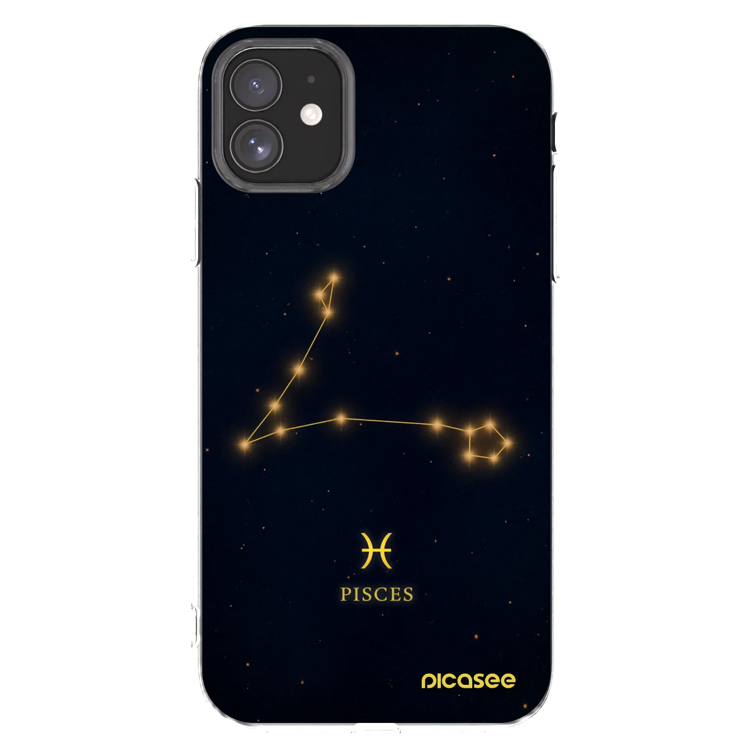Picasee διαφανής θήκη σιλικόνης Apple iPhone 11 - PISCES