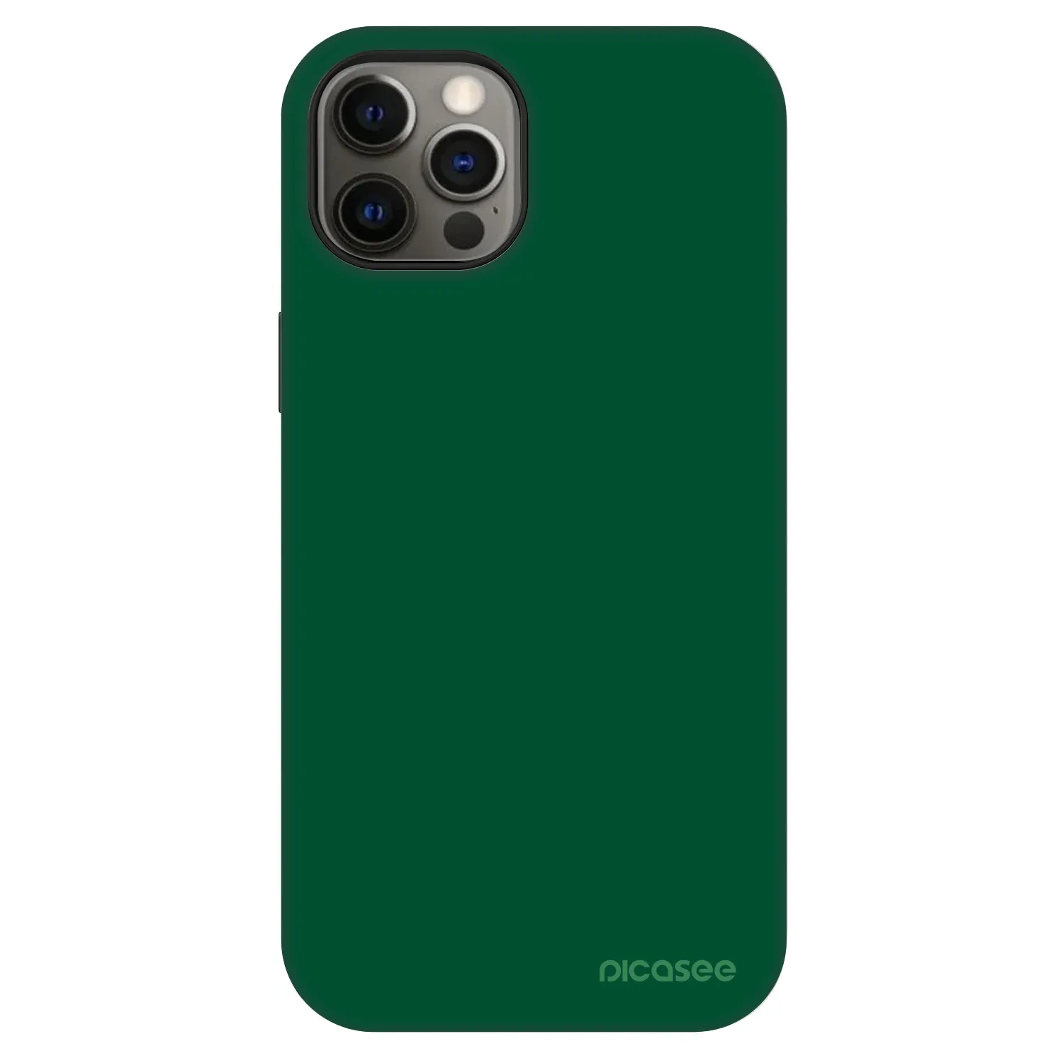 Picasee Fashion Case MagSafe για Apple iPhone 12 - Green Gleam