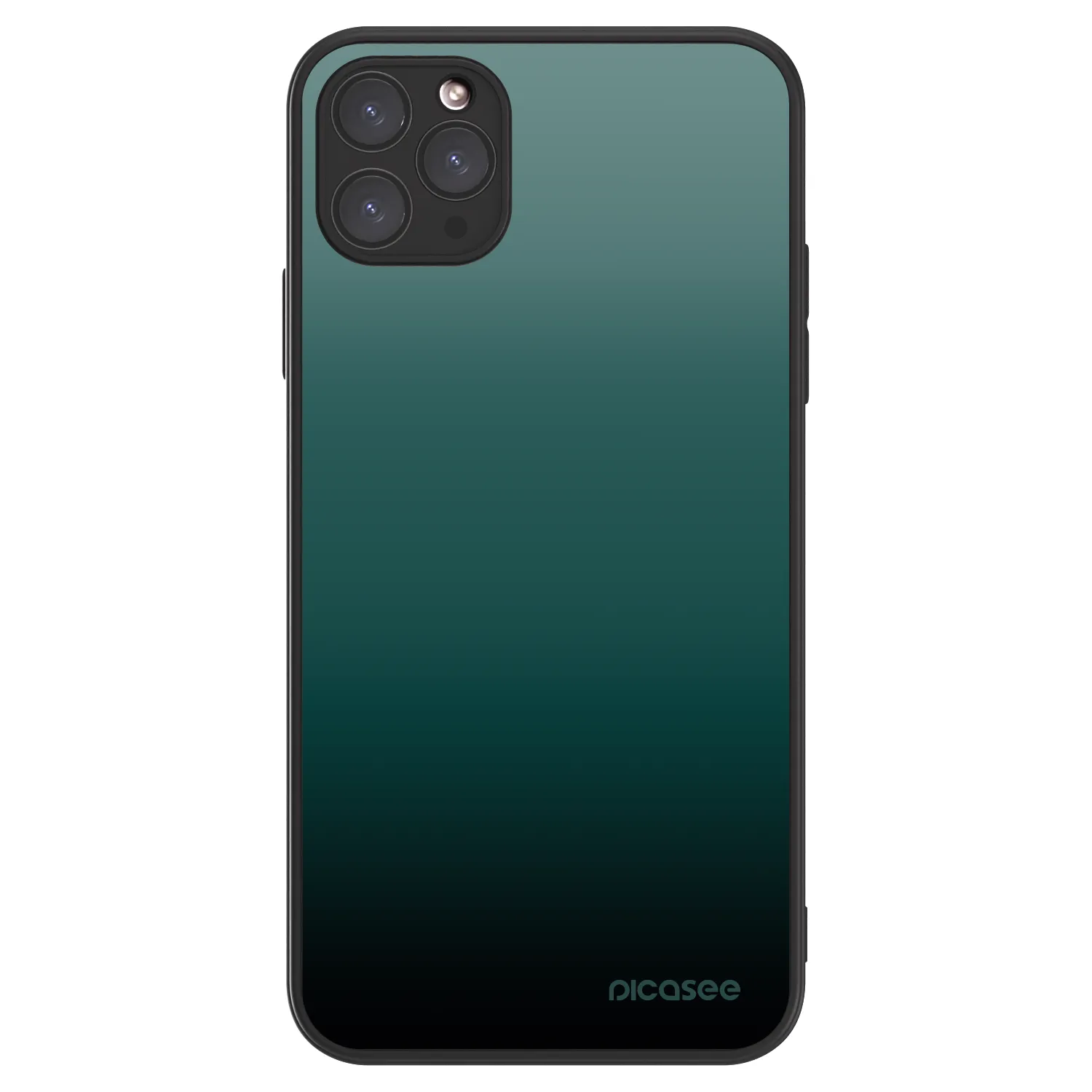 Picasee ULTIMATE CASE MagSafe pro Apple iPhone 11 Pro Max - Verdant Fade