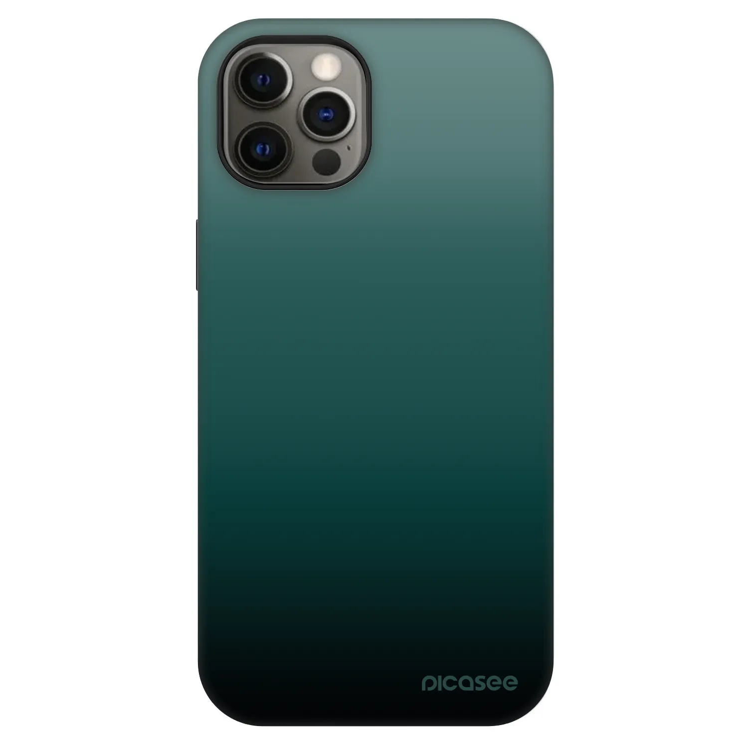 Picasee Fashion Case MagSafe για Apple iPhone 12 Pro - Verdant Fade